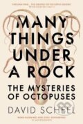 Kniha: Many Things Under a Rock: The Mysteries of Octopuses (David Scheel)