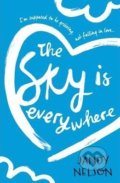 The Sky Is Everywhere - Jandy Nelson, Walker books, 2015