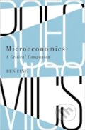 Kniha: Microeconomics A Critical Companion (Ben Fine). Pluto Press, 2016
