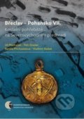 Břeclav Pohansko VII - Kolektív autorů, Masarykova univerzita, 2017