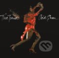 Hudobné CD: Tina Turner: Acid Queen LP (Hudobné albumy). Hudobné albumy, 2024