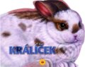 Kniha: Králíček (Esperanza Soria). SUN, 2006
