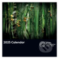 Kalendár 2025 Wildlife (Portico Designs). Portico Designs, 2024