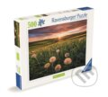 Puzzle: Pampelišky v západu slunce (Ravensburger). Ravensburger, 2024