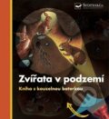 Kniha: Zvířata v podzemí (Svojtka&Co.). Svojtka&Co., 2024