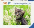 Puzzle: Kotě na louce (Ravensburger). Ravensburger, 2024