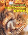 Kniha: V tajomnom slovenskom lese (Roman Jadroň a Miroslav Saniga). Perfekt, 2024
