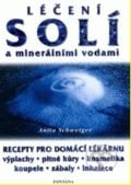 Léčení solí a minerálními vodami - Anita Schweiger, Fontána, 2002