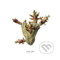 Hudobné CD: Ladě: Děti (Hudobné albumy). Hudobné albumy, 2024