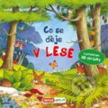 Kniha: Co se děje v lese? (INFOA). INFOA, 2024