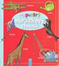 Kniha: Môj pestrý obrázkový slovník (Schwager & Steinlein Verlag). Schwager & Steinlein Verlag, 2015