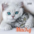 Mačky 2018, Spektrum grafik, 2017