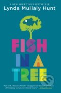 Kniha: Fish in a Tree (Lynda Mullaly Hunt). Puffin Books, 2017