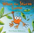 Kniha: When the Storm Came (Chris Naylor-Ballesteros)