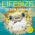 Kniha: Lifesize Ocean Animals (Sophy Henn). Red Shed, 2024