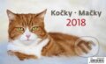 Kočky / Mačky 2018, 2017