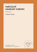Kniha: Parciální náhrady chrupu (Antonín Zicha). Karolinum, 2024
