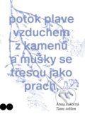 Kniha: Tanec světlem (Anna Pokorná). Host, 2025