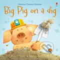 Kniha: Big Pig on a Dig (Russell Punter)