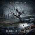 Hudobné CD: Dom Martin:  Buried In The Hail (Hudobné albumy). Hudobné albumy, 2023