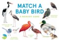 Kniha: Match a Baby Bird (Mike Unwin). Laurence King Publishing, 2025
