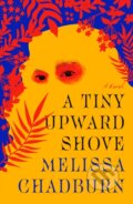Kniha: A Tiny Upward Shove (Melissa Chadburn). Farrar, Straus and Giroux, 2022