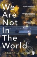 Kniha: We Are Not in the World (Conor O'callaghan)