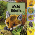 Kniha: Malý lišiačik (Junior). Junior, 2006