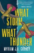 Kniha: What Storm, What Thunder (Myriam J.A. Chancy). Harper Perennial, 2021