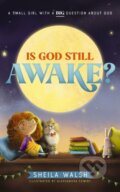 Kniha: Is God Still Awake? (Walsh Sheila). , 2022