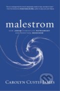Kniha: Malestrom (James Carolyn Custi). Zondervan, 2022