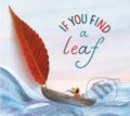 Kniha: If You Find a Leaf (Aimee Sicuro)