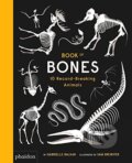 Book of Bones - Gabrielle Balkan, Sam Brewster (ilustrácie), Phaidon, 2017