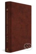 Kniha: ESV Everyday Gospel Bible, 2024