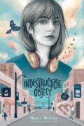 Kniha: Indestructible Object (Mary Mccoy). Simon & Schuster Books for Young Readers, 2021
