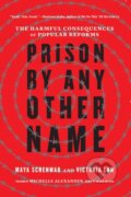 Kniha: Prison by Any Other Name (Maya Schenwar a Victoria Law). The New Press, 2021