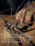 Breeding the World&#039;s Largest Living Arachnid - Orin McMonigle, Coachwhip, 2013