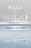 Kniha: How to Meditate (Pema Choedroen). Sounds True, 2021