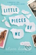 Kniha: Little Pieces of Me (Alison Hammer). William Morrow, 2021