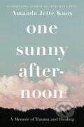 Kniha: One Sunny Afternoon (Rowan Jette Knox). Prentice Hall, 2023