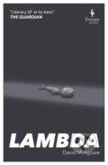Kniha: Lambda (David Musgrave). Europa Editions, 2022