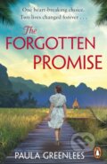 Kniha: The Forgotten Promise (Paula Greenlees). Cornerstone, 2022