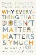 Kniha: Why Everything That Doesn't Matter, Matters So Much (Andi Ashworth a Charlie Peacock). Thomas Nelson Publishers, 2024