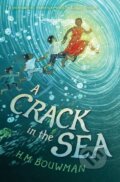 Kniha: A Crack in the Sea (H M Bouwman). Eroika, 2021