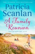 Kniha: A Family Reunion (Patricia Scanlan). Simon & Schuster, 2021