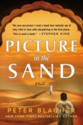 Kniha: Picture in the Sand (Peter Blauner). Minotaur Books, 2023