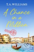Kniha: A Chance in a Million (T.A. Williams). Canelo, 2022
