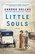 Kniha: Little Souls (Sandra Dallas). , 2023