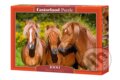 Puzzle: Horse Friends (Castorland). Castorland, 2017