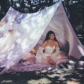 Hudobné CD: Julia Mestre: Maravilhosamente Bem  LP (Music on Vinyl)